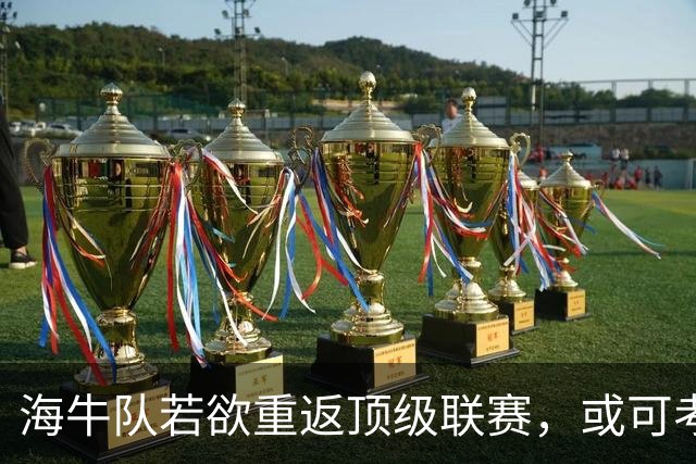 海牛队若欲重返顶级联赛，或可考虑聘请这位K联赛名帅